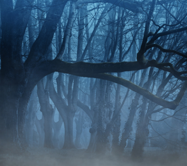 Yogi Bhajan bedragare